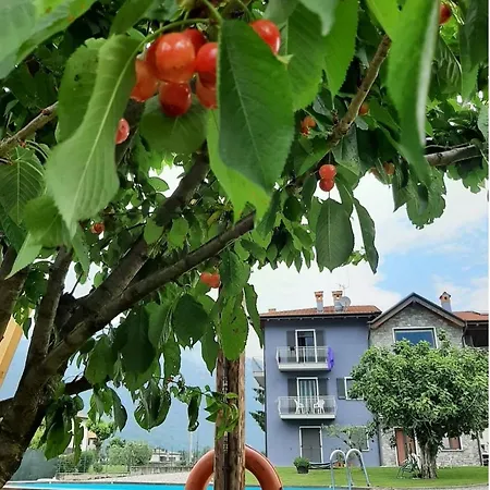 Zia Vivina Bed & Breakfast