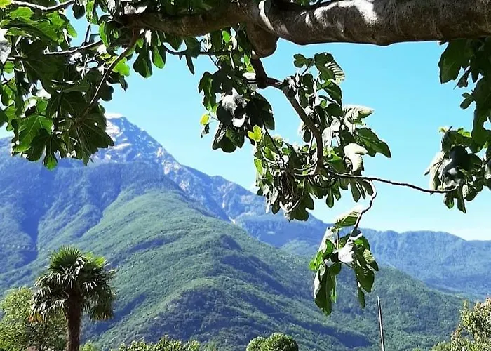 Zia Vivina Sorico