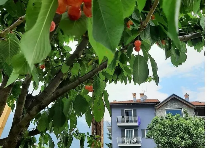 Zia Vivina Panzió
